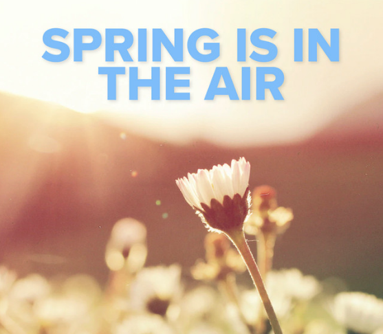 Experience Your Wellness Amsterdam - Spring is in the Air